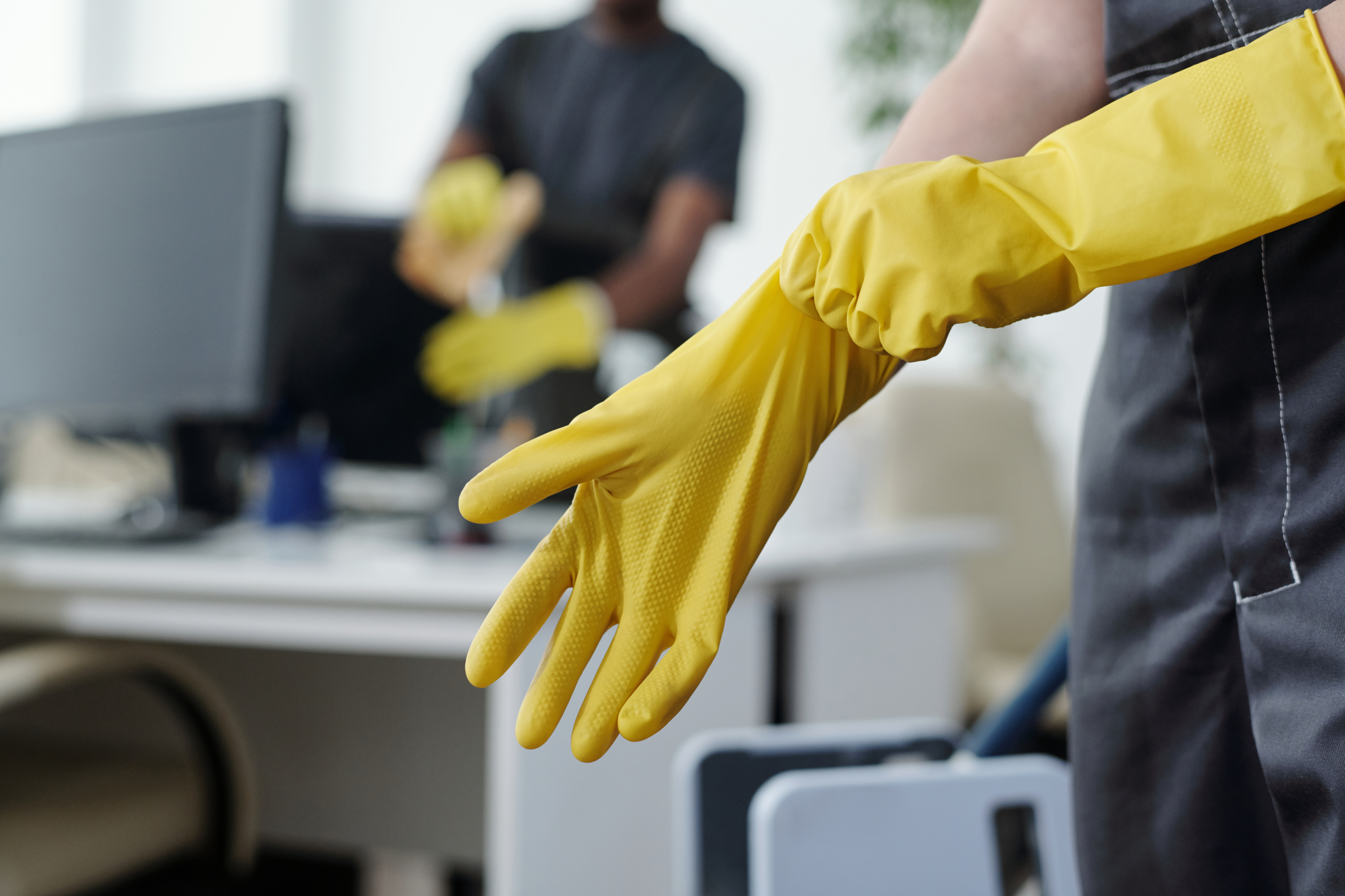 Hands of female worker of contemporary cleaning company putting on yellow protective rubber gloves before mopping floor of office
