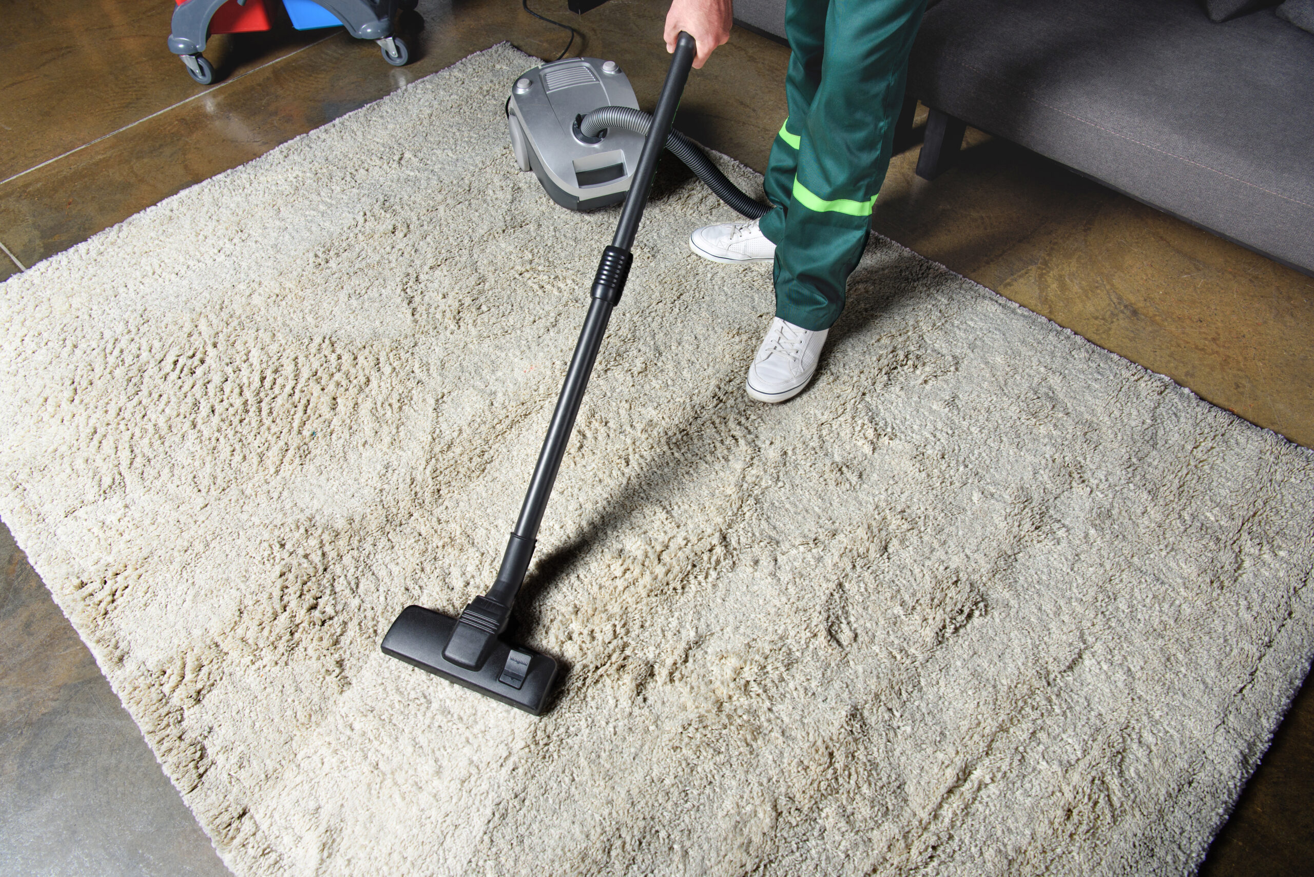 Auckland Cleaning; Carpets Cleaning