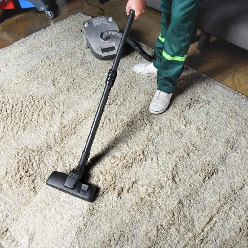 Auckland Cleaning; Carpets Cleaning